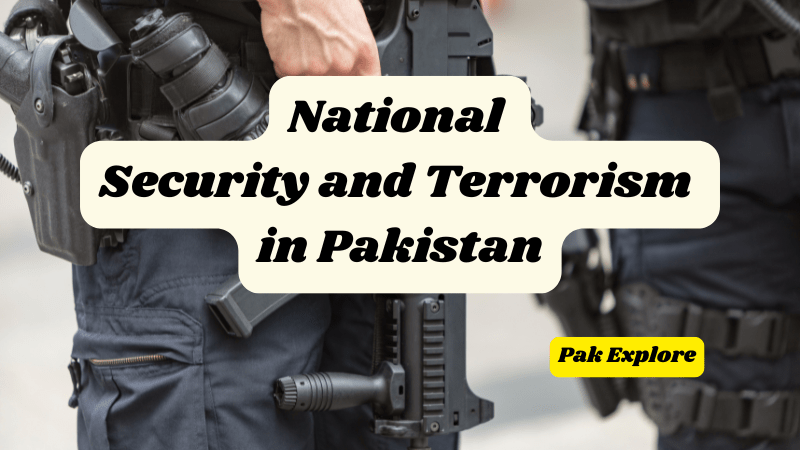National security and terrorism challenges in Pakistan, counter-terrorism measures and key strategies for national stability.