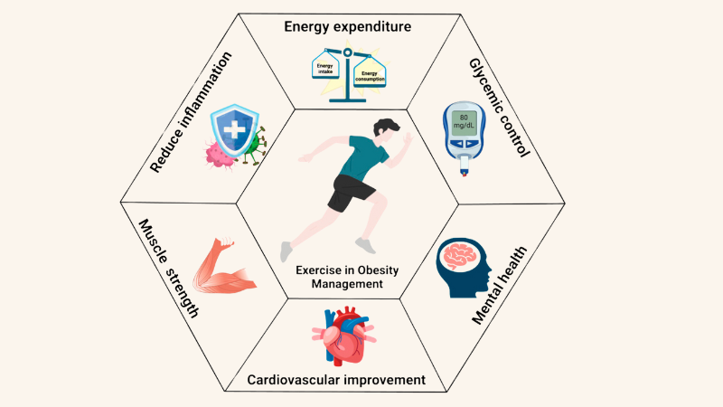 Sports are the best way to improve physical health. Regular exercise, obesity, and other diseases.
