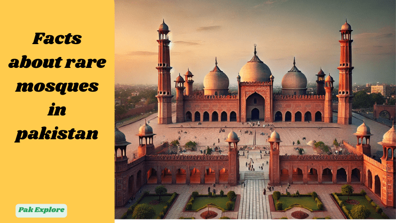 Explore rare and unique mosques in Pakistan, highlighting architectural wonders, historical significance and hidden cultural gems across the country.