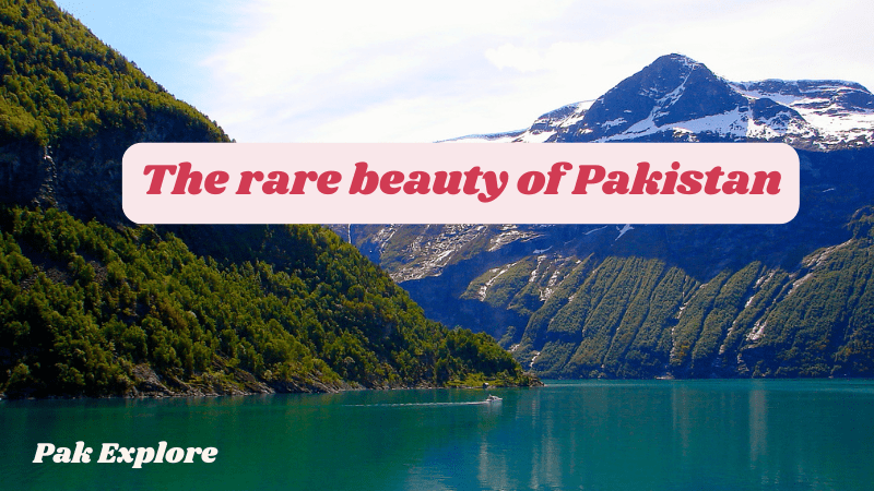 Among the most beautiful and fascinating things in Pakistan are its natural landscapes, historical sites, cultural heritage, and host of people. Beauty