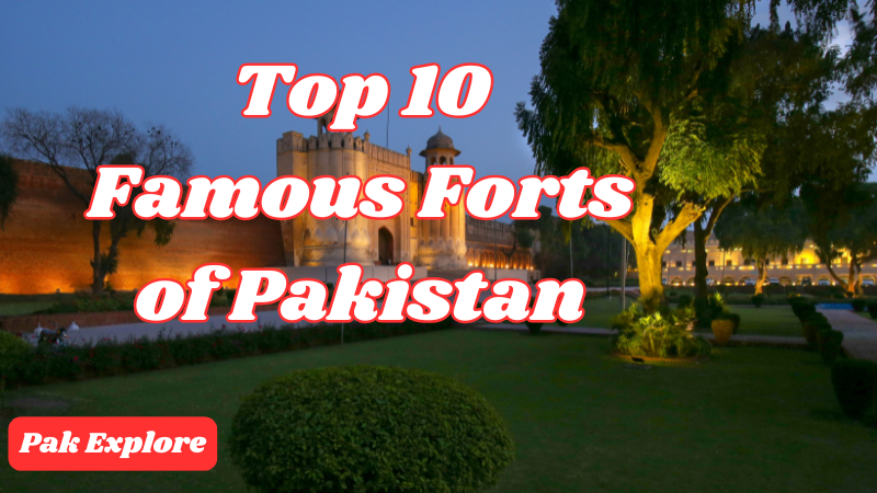 Forts of Pakistan are not only historical monuments but also reflect the culture, architecture, and history of the country