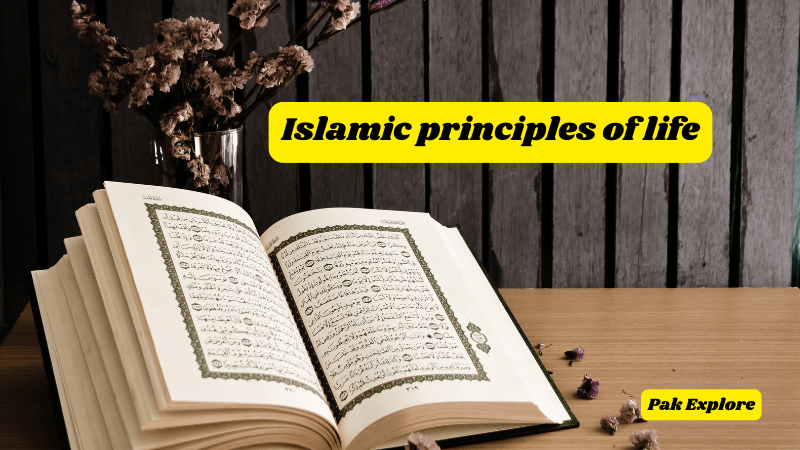 Alt text: The open book of the Quran, representing Islamic teachings and spirituality.