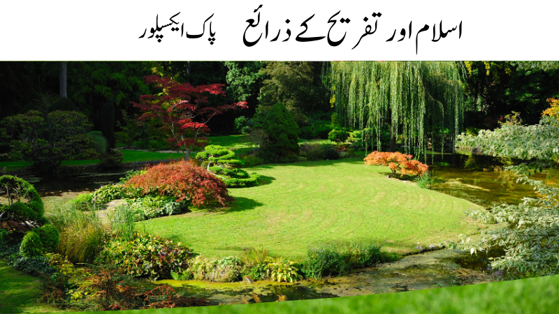اسلام میں تفریح کے اہم ذرائع جیسے روحانی کتابوں کا مطالعہ، خوبصورت تلاوت قرآن سننا، اخلاقی اور تعمیری ویڈیوز دیکھنا، صحت مند سرگرمیوں میں حصہ لینا، اور خاندان کے ساتھ معیاری وقت گزارنا؛ یہ سب زندگی کو خوشگوار اور بامقصد بنانے کے لیے بہترین طریقے ہیں